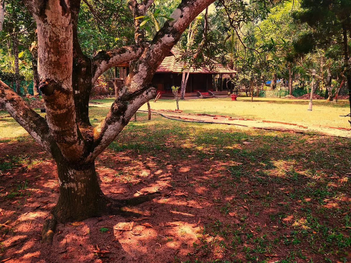 Resort Palathra Heritage Mararikulam