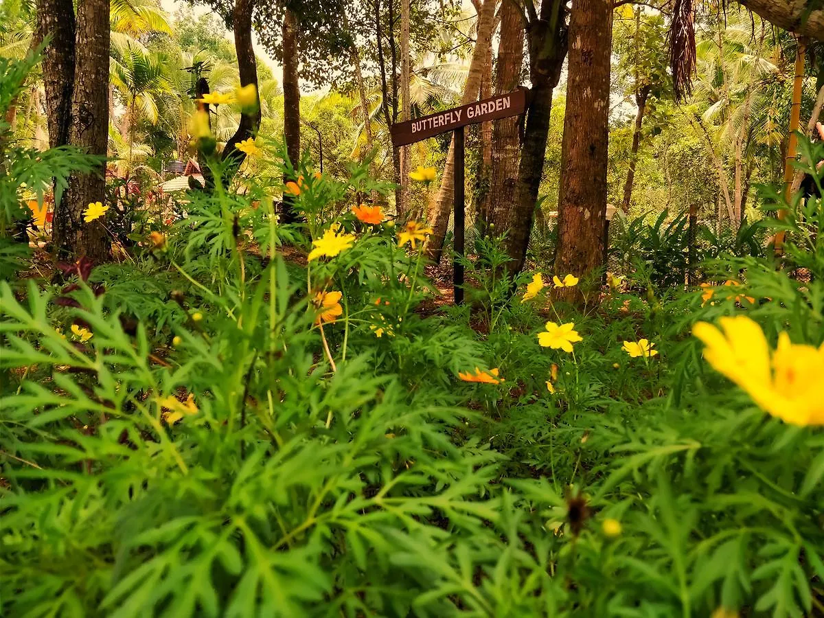Palathra Heritage Mararikulam Resort